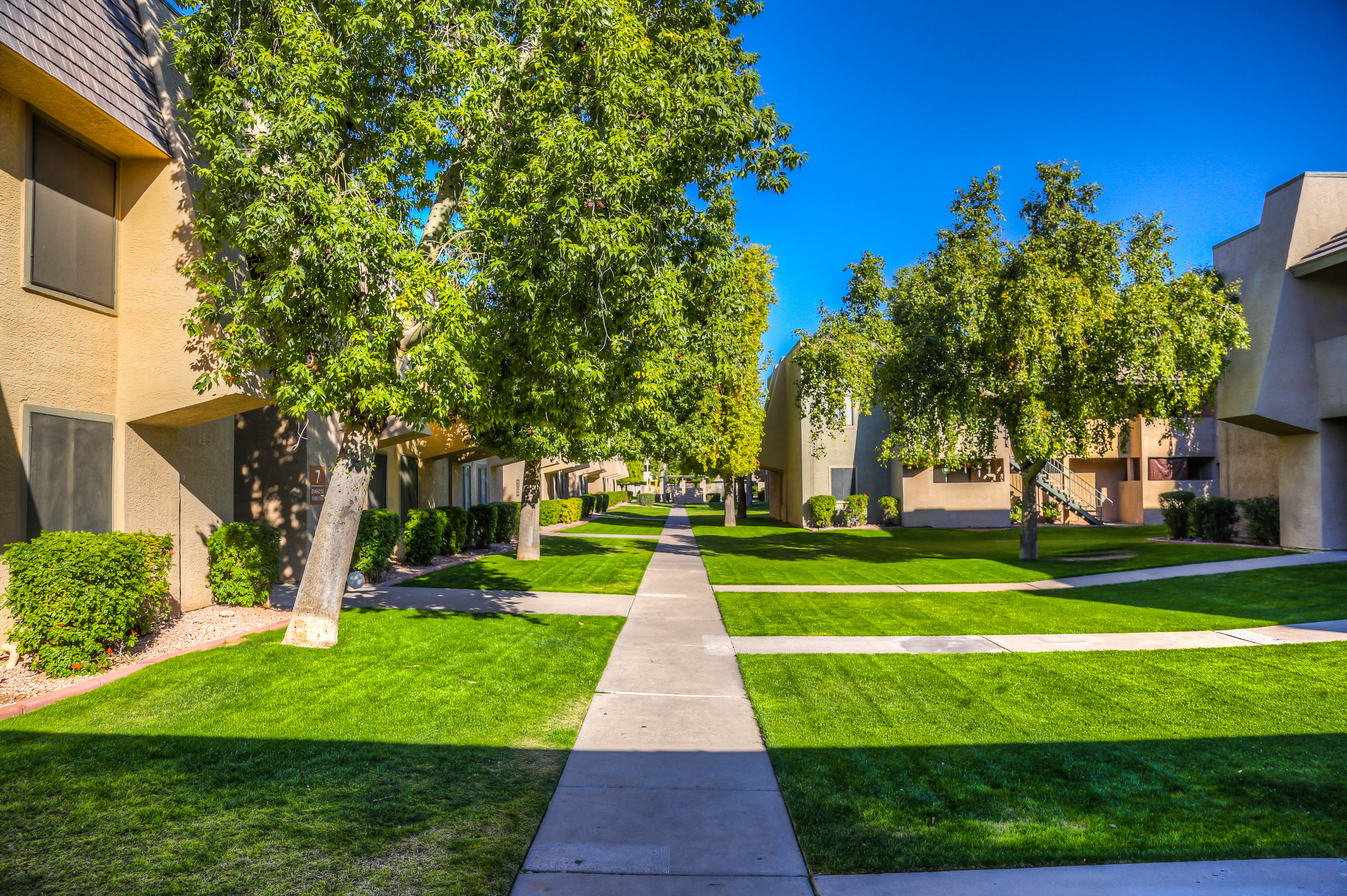 Saratoga Ridge The Multifamily Advisory Group at Cushman & Wakefield